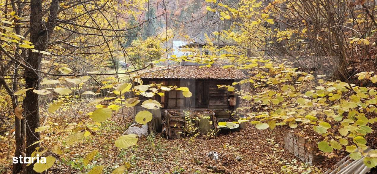 Teren extravilan 1200 mp, cu cabana, Tarnita, iesire la lac! - Imagine principală: 5/8