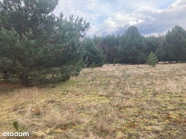 Działka budowlana - Pełny obrazek: 5/9