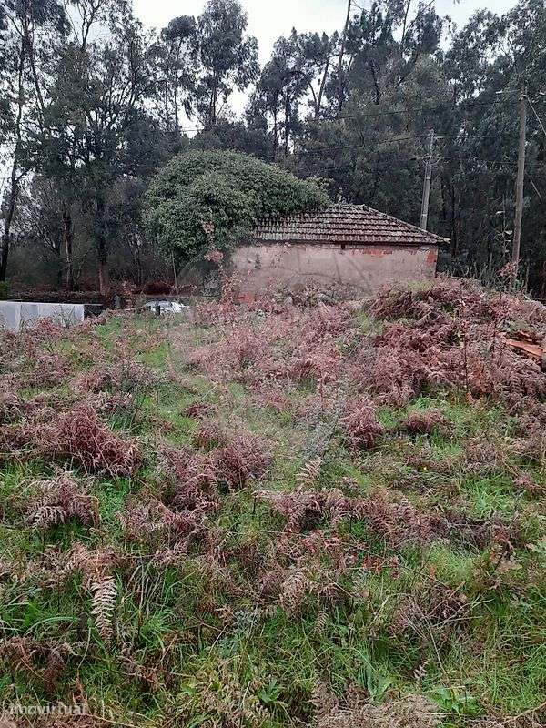 Terreno  para venda-6