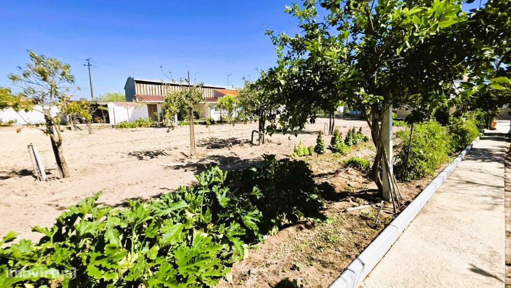 Quinta  com Moradia T6, Casa T2, Piscina Aquecida -  Salvaterra de Mag-44