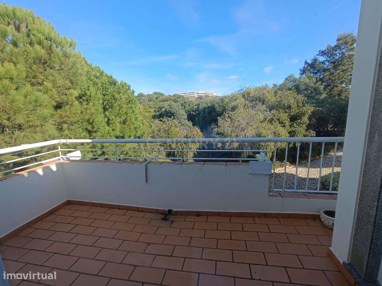 NAO PERCA ESTA GRANDE OPORTUNIDADE! - Grande imagem: 5/26