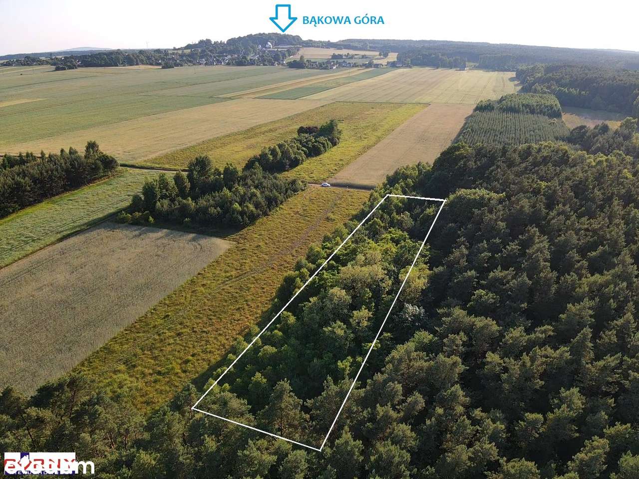 Działka rolna , porośnięta drzewami, Bąkowa Góra-1