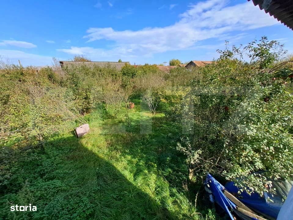 Teren Intravilan de 19000 mp, Ocna Mureş - Imagine principală: 4/6