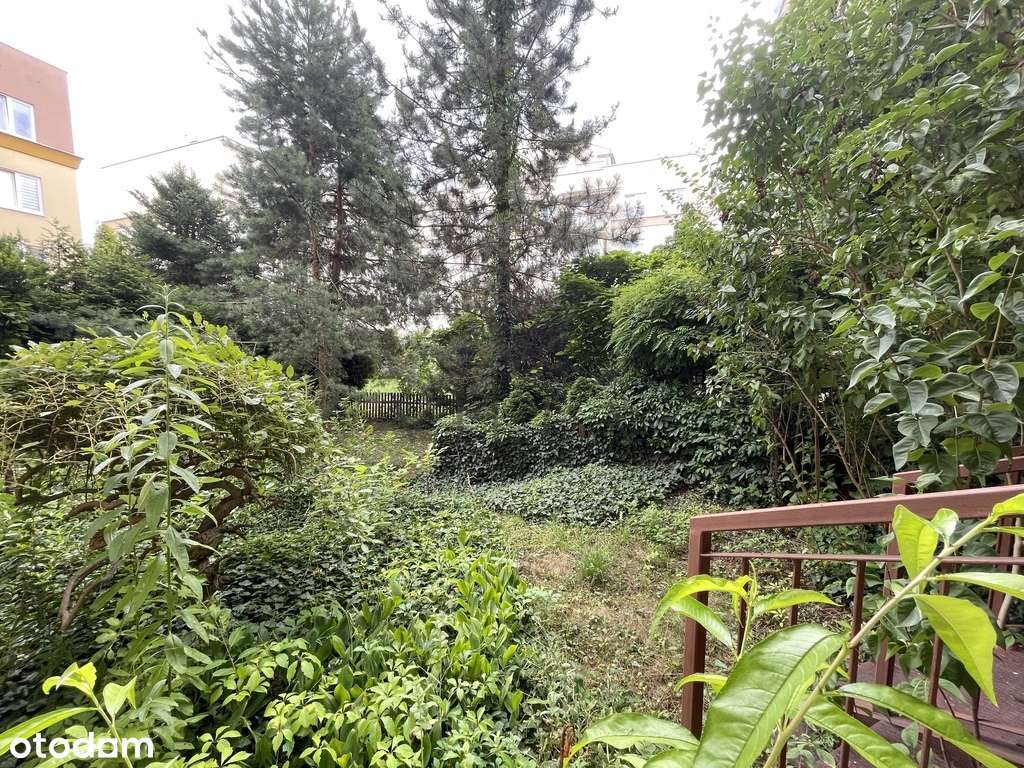 Niska zabudowa. Ogródek. Można wydzielić 4 pok. - Pełny obrazek: 5/11