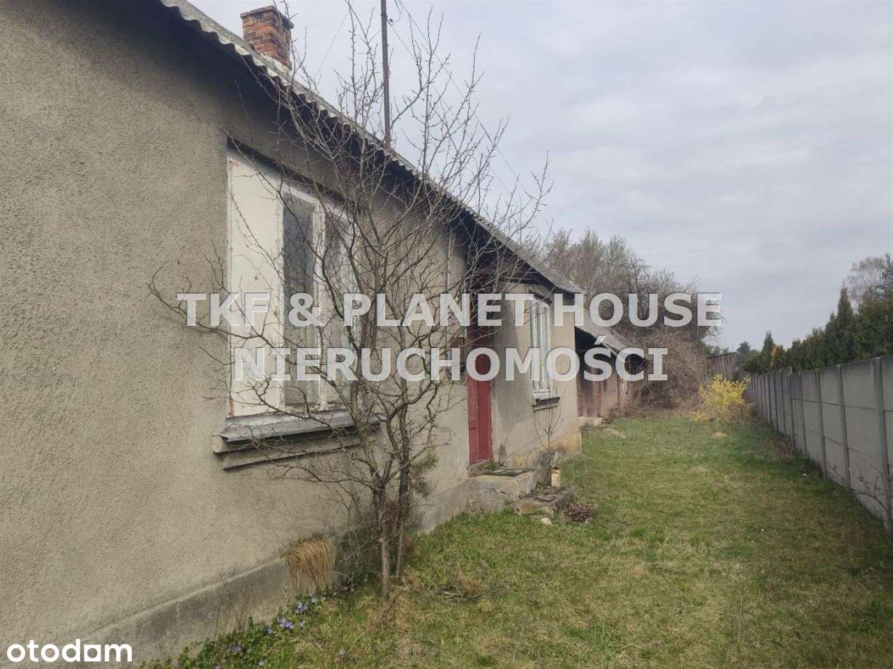 Dom z działką 1,95 ha Domaszno/Drzewica - Pełny obrazek: 4/6