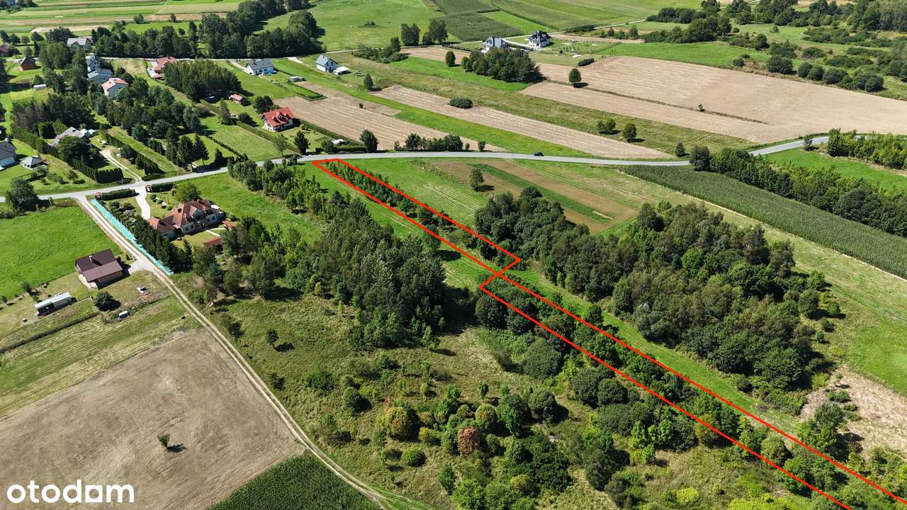 Dwie działki o łącznej powierzchni 28 arów w pobliżu Brzozowa - Pełny obrazek: 5/5