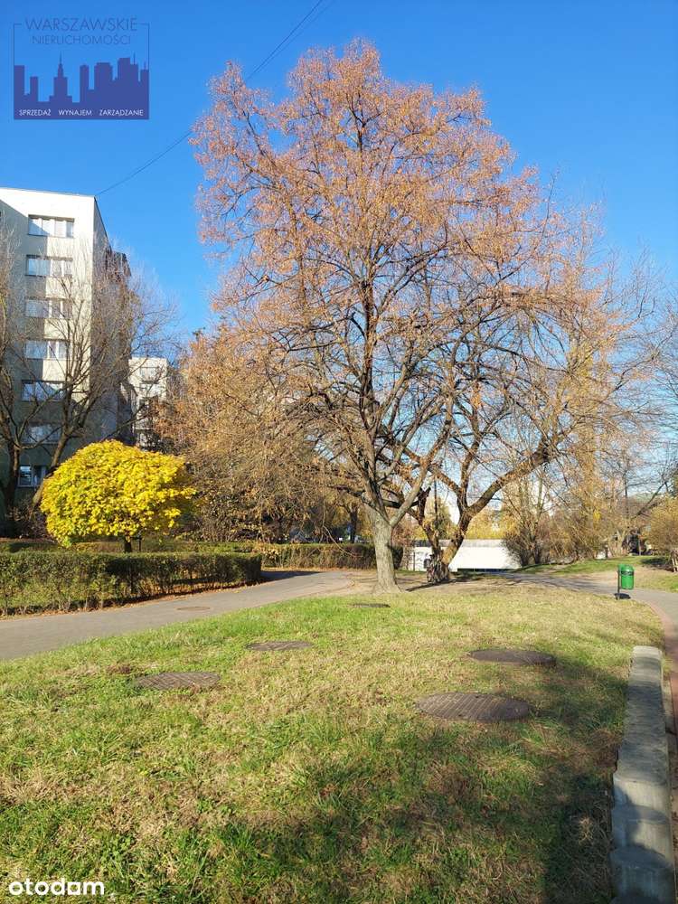 Czteropokojowe przy metrze Stokłosy, z potencjałem-0