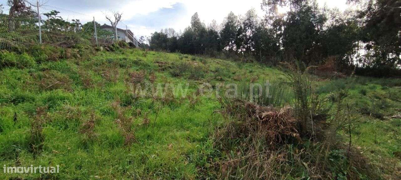 Terreno / Marco de Canaveses, Várzea, Aliviada e Folhada - Grande imagem: 4/12