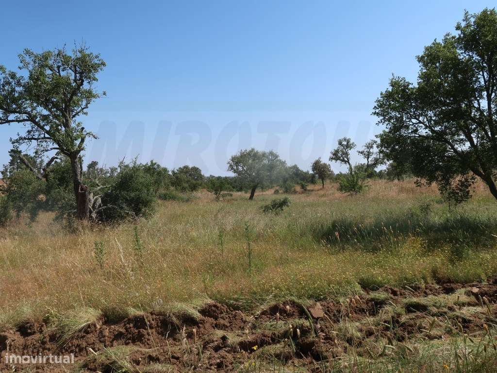 Refúgio rural de amplo potencial - Grande imagem: 4/26