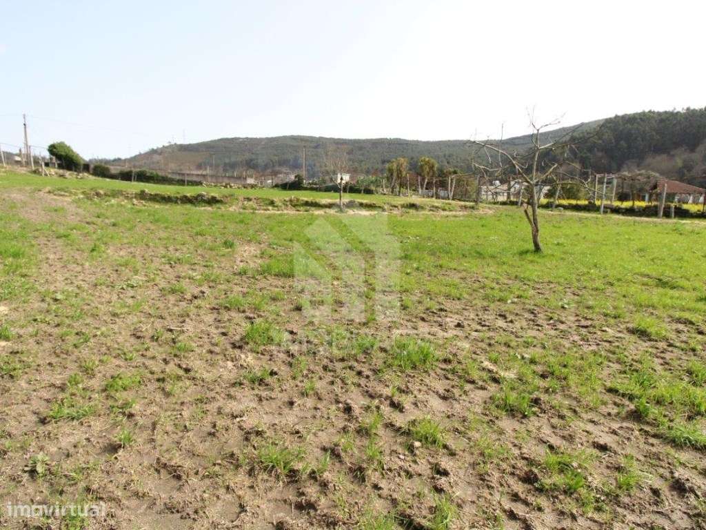 Venda Terreno com possibilidade de Lotear, em S. Mamede (Este), Braga-43