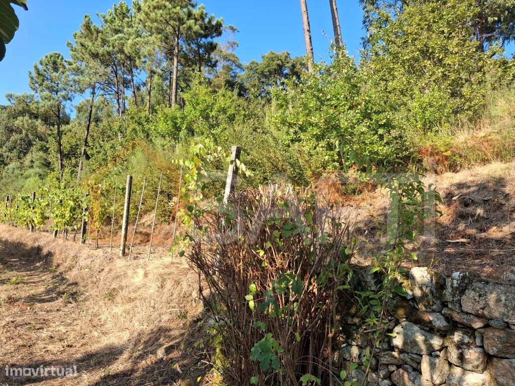 Terreno de construção - Grande imagem: 5/10