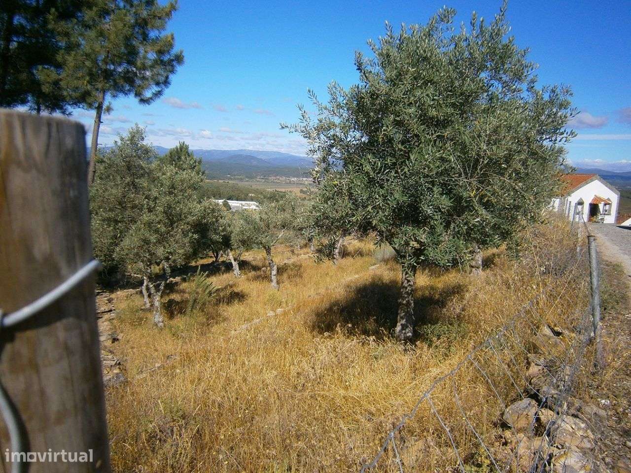 Terreno - Grande imagem: 1/8