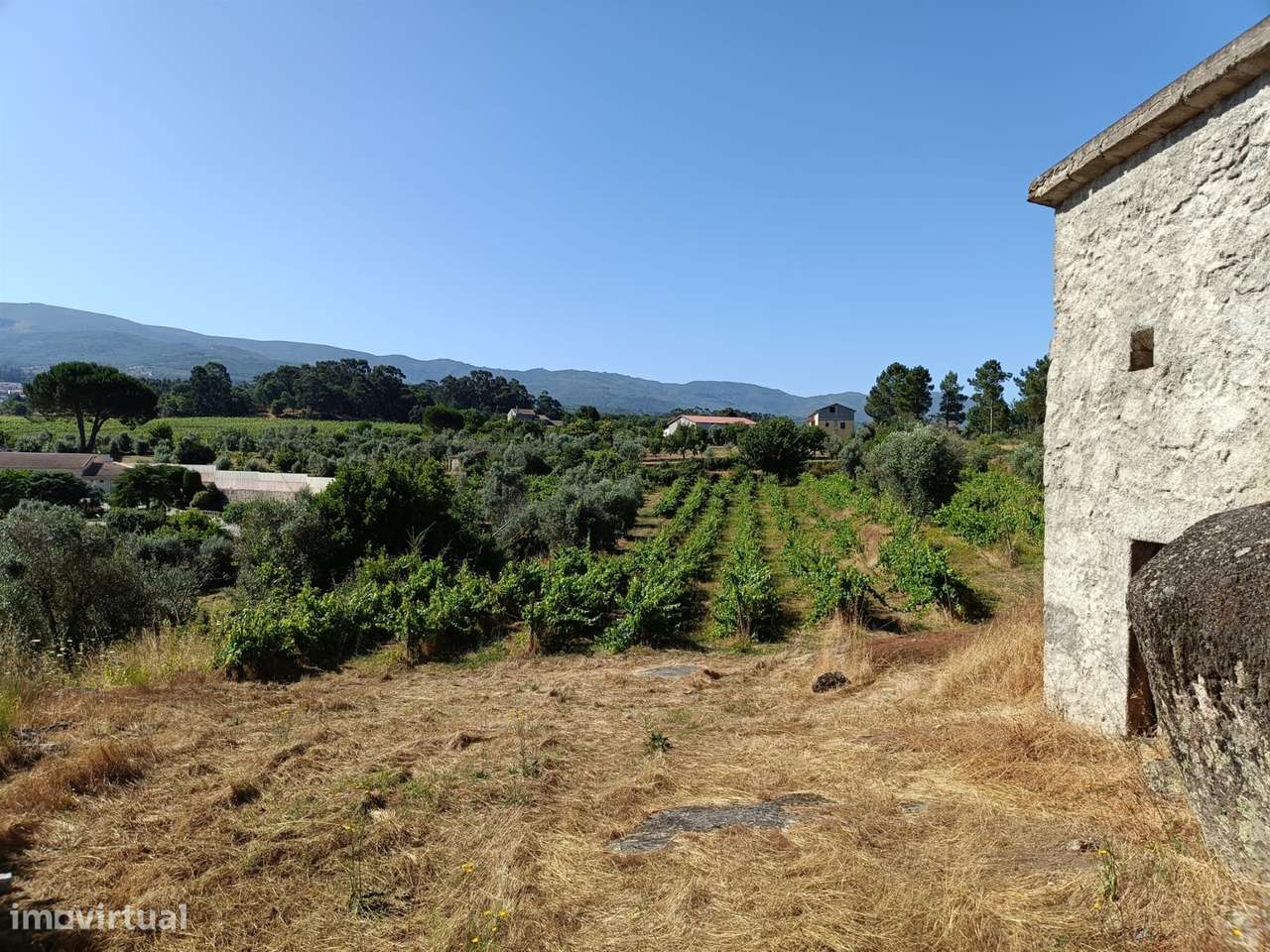 Terreno Rústico  Venda em Nespereira,Gouveia - Grande imagem: 5/12