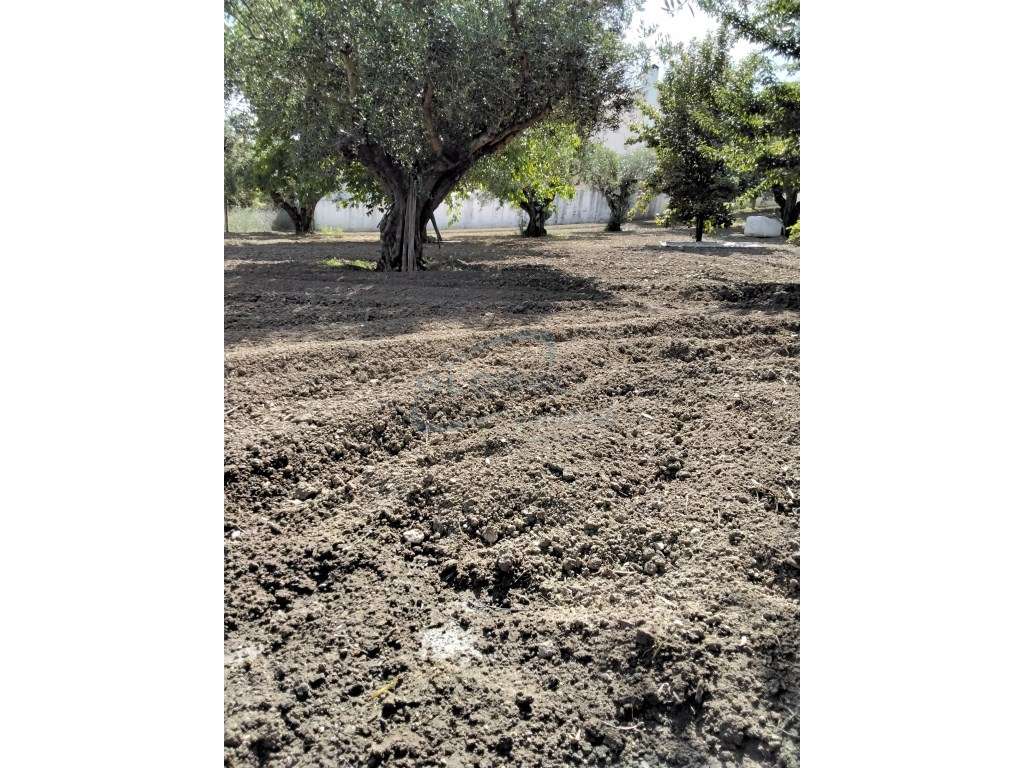 Duas Moradias com Terreno na Ribeira Branca - Natureza, Privacidade...-34