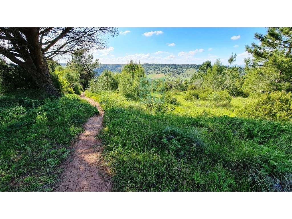 Quinta com 435.487 m2 na Serra da Arrábida, em Palmela, Setúbal-16