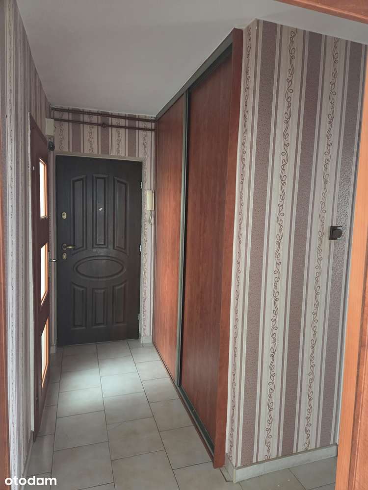 Centrum Zabrza z widokiem na Halę Sportową-3