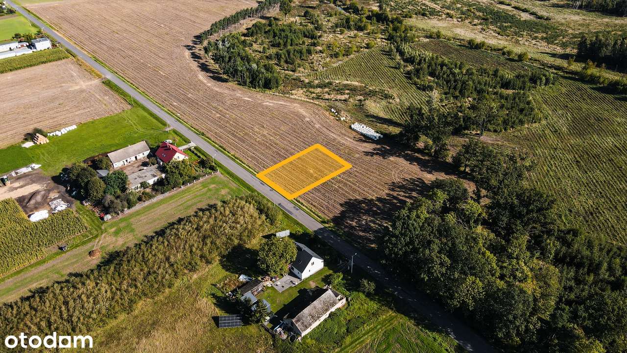 Nowy Folwark, gm. Września, pow. wrzesiński, woj. wielkopolskie-13