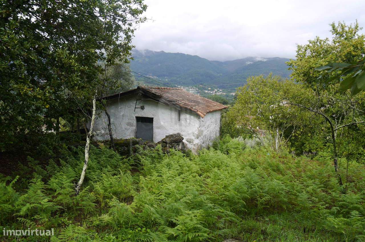 Terreno com duas casas para restauro com 2950m² - Grande imagem: 5/26