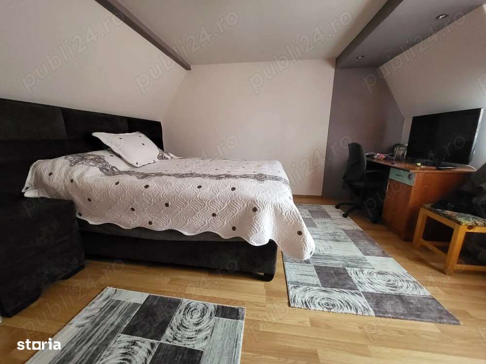 Casa cu 6 camere piscina si pivnita in Turnisor-5