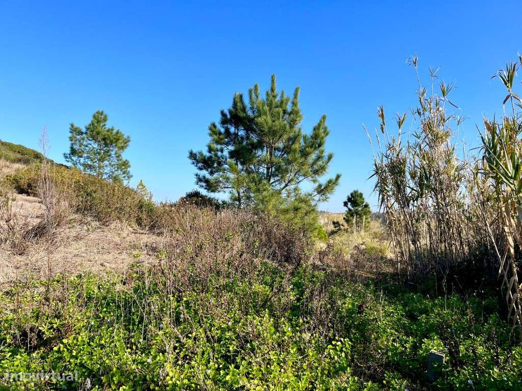 Terreno urbano com 1150m2 na Serra do Bouro, muito perto de Salir d... - Grande imagem: 4/15