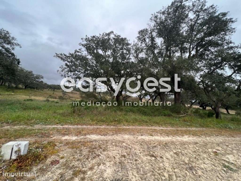 Terreno com 20.654 m2, localizado na Asseiceira, Poceirão - Grande imagem: 2/4