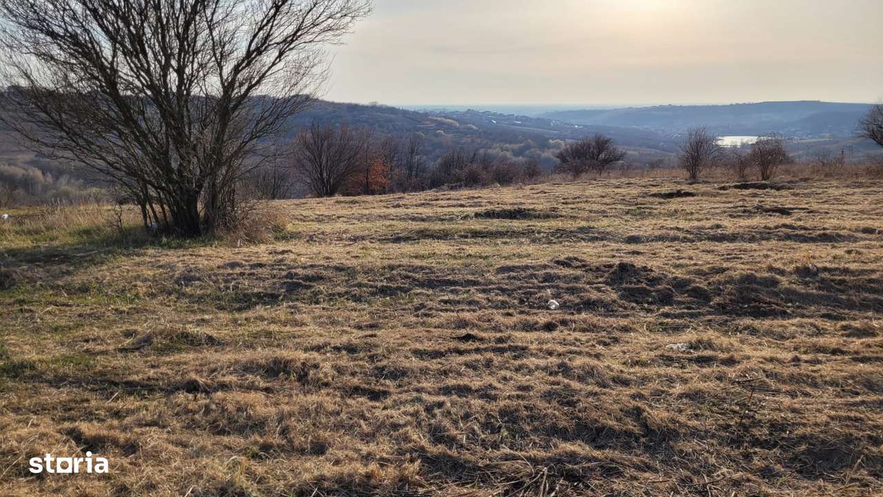 Teren pe Str.Dealul Nou in Oradea-4