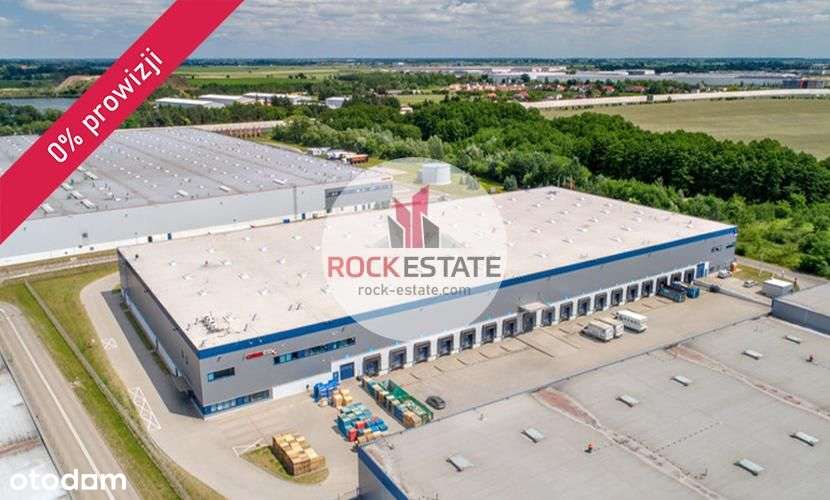 Magazyn 7 tyś. m2 w Gądkach koło Poznania - 0 % - Pełny obrazek: 4/7