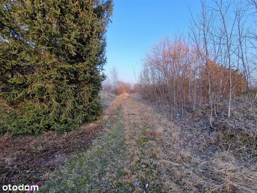 Syndyk sprzeda działki - Pełny obrazek: 5/11