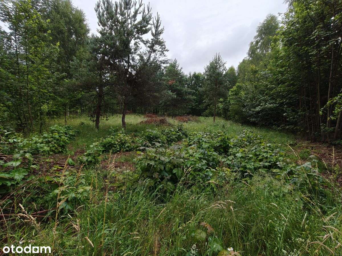 Działka budowlana Parchowski Młyn blisko jeziora.-8