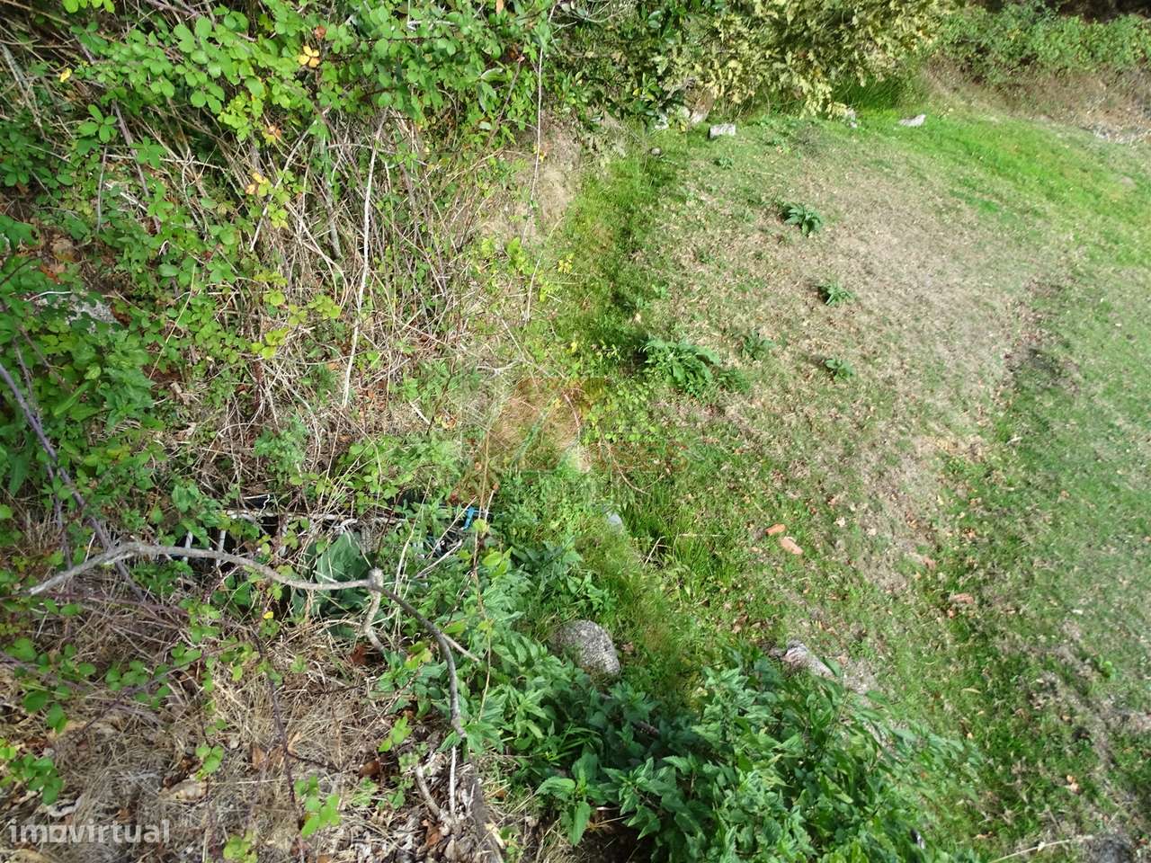 Moradia Rústica e Terreno!-17