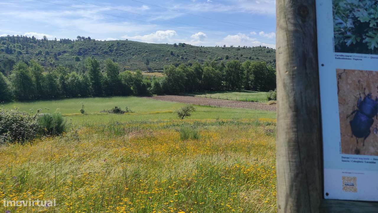 Quinta com Vista para a Serra da Estrela – Um Refúgio Natural - Grande imagem: 3/19