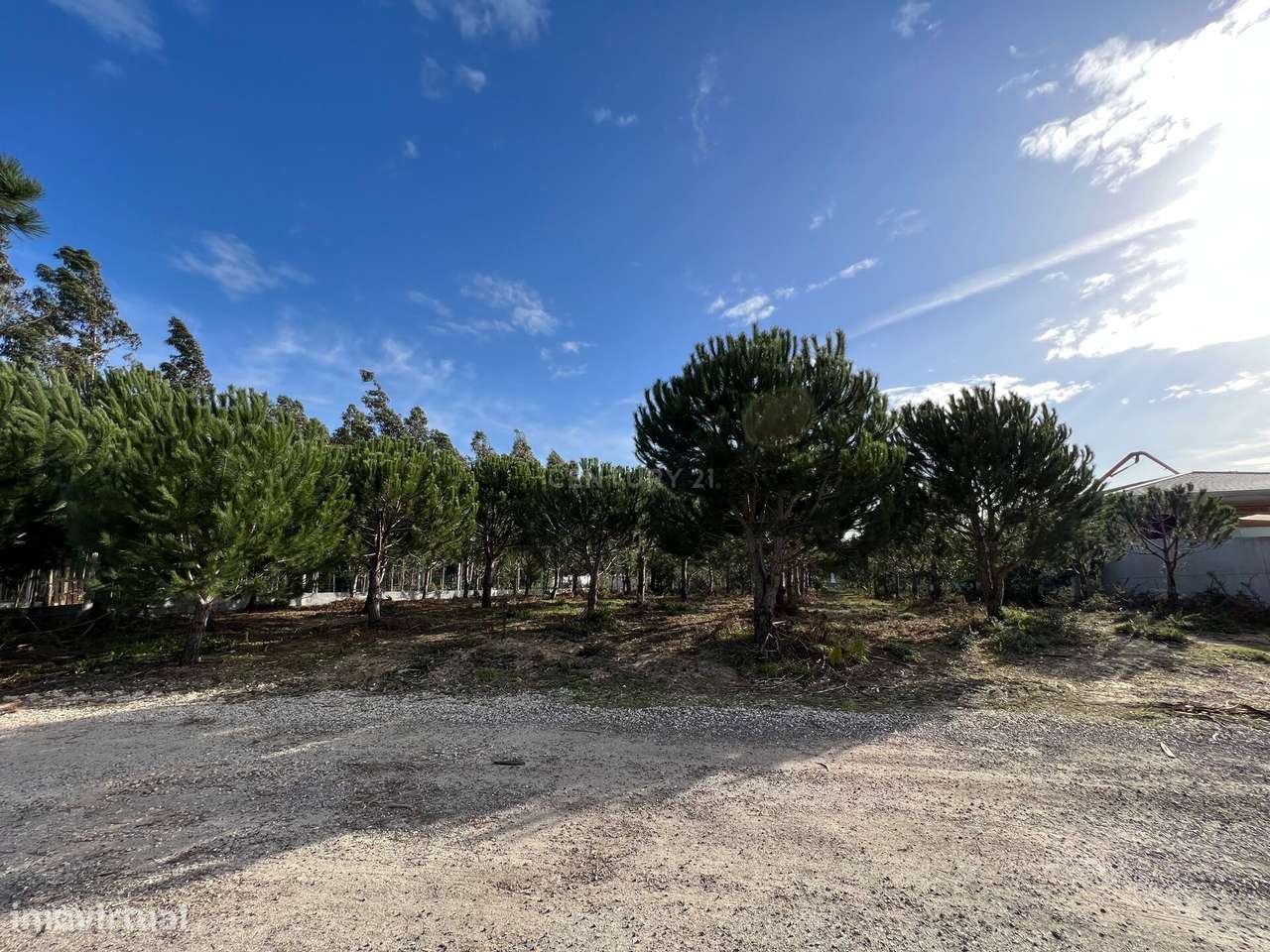 Terreno com Viabilidade de Construção, Monte Real - Grande imagem: 4/21