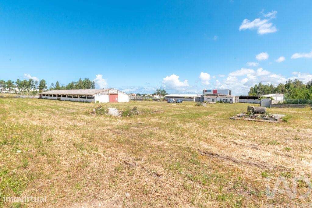 Terreno industrial em Vieira de Leiria - Grande imagem: 5/7