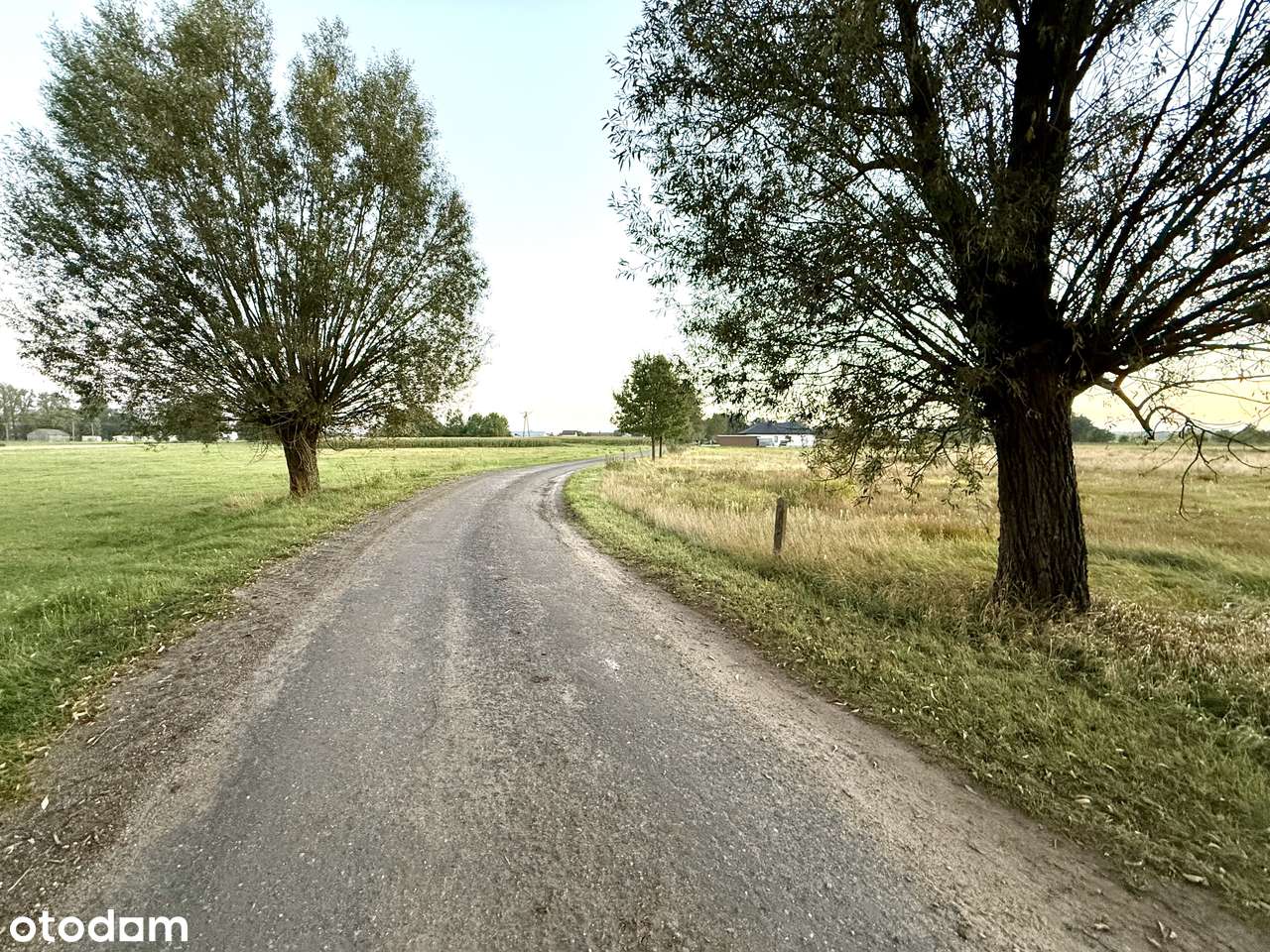 Duża działka z wydanymi WZ - Żeliszew Duży gm. Kotuń-5