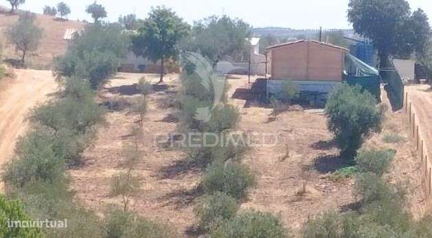 Quintinha com 2 Habitações  e piscina— Alqueva - Grande imagem: 5/35