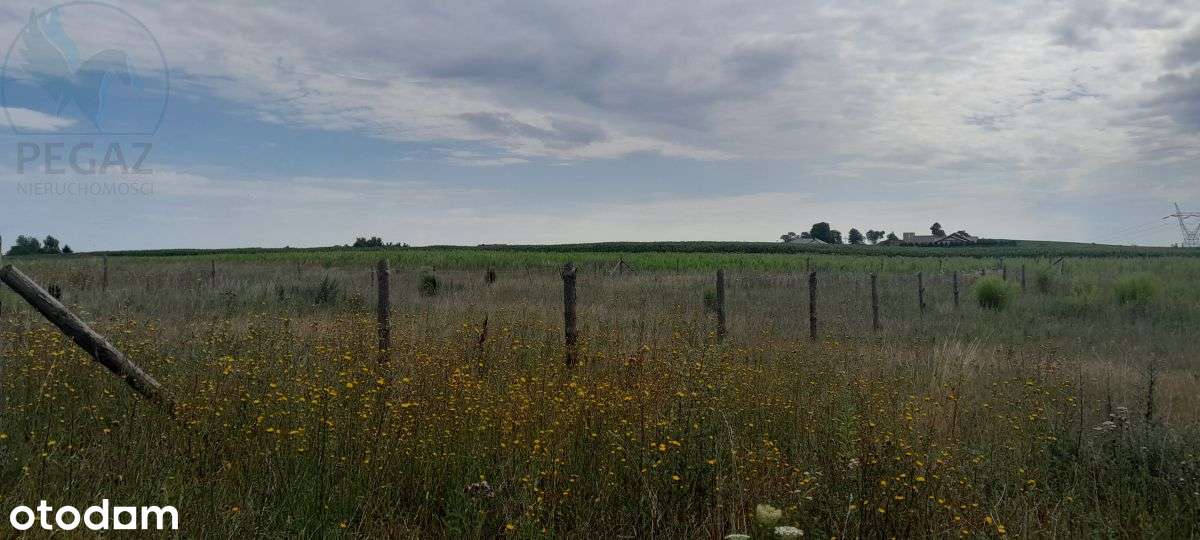 Nowa Cena , działka budowlana z projektem. - Pełny obrazek: 4/8