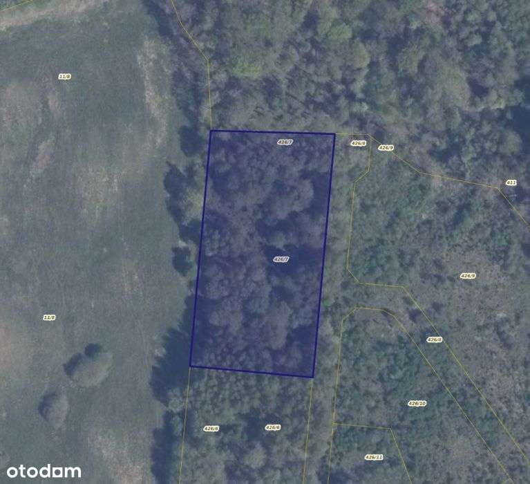 Działka 426/7 w Pręgowie Górnym - Pełny obrazek: 1/6