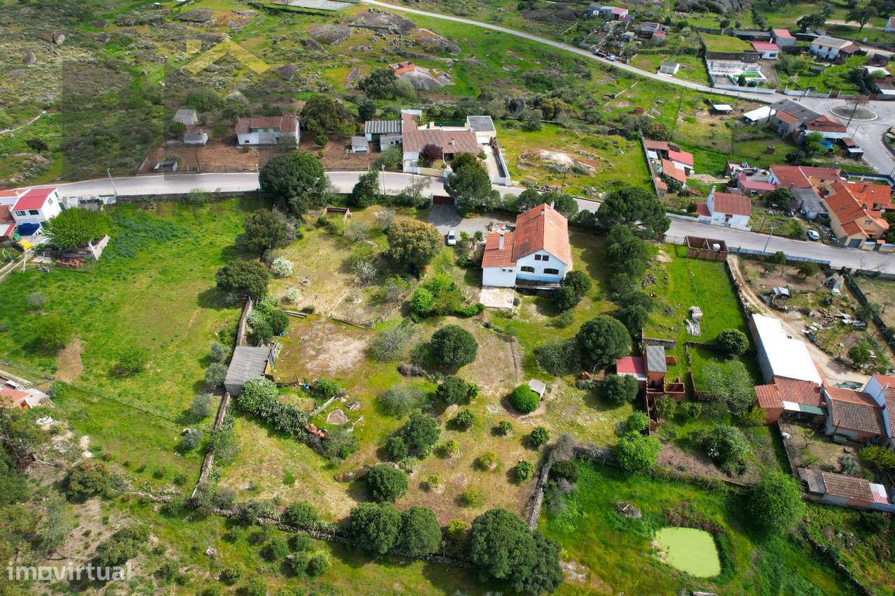 Lote de Terreno  Venda em Escalos de Baixo e Mata,Castelo Branco - Grande imagem: 3/15