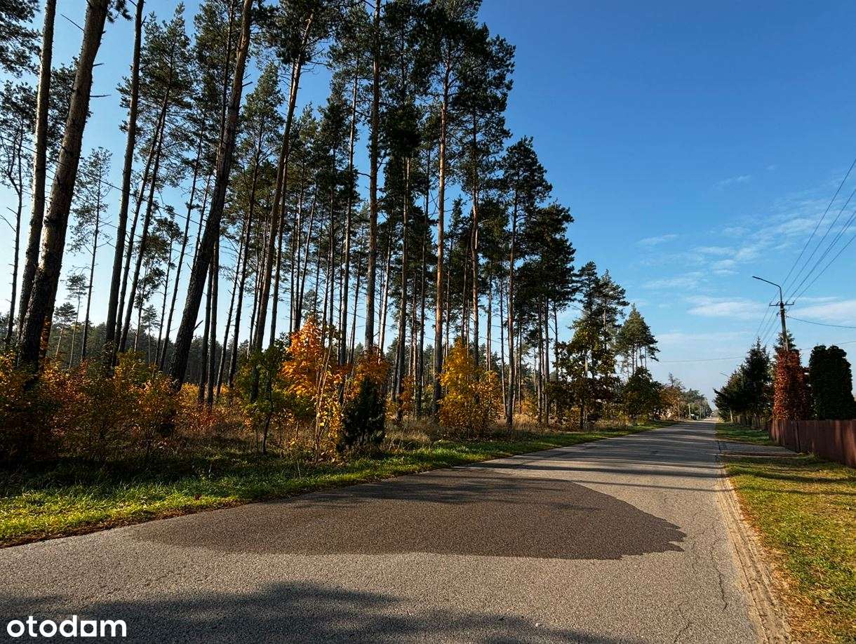 Działka rolno-leśna w centrum miejscowości Błędnica, 9,7142 ha-3