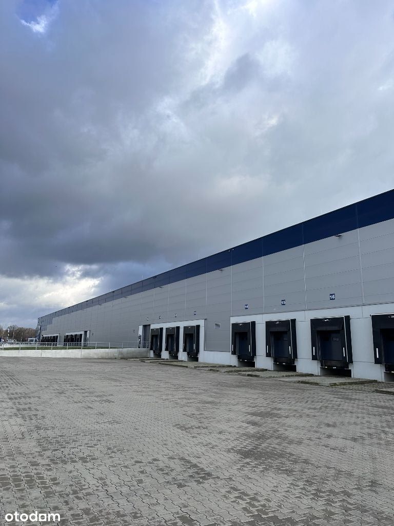 Magazyn kl A k. lotniska 1200 m2 od 11.24 Warszawa