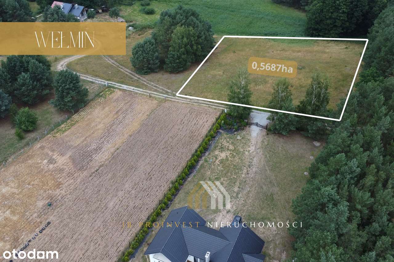 Na sprzedaż działka budowlana – 5687 m² | Wełmin | Piękny widok-3