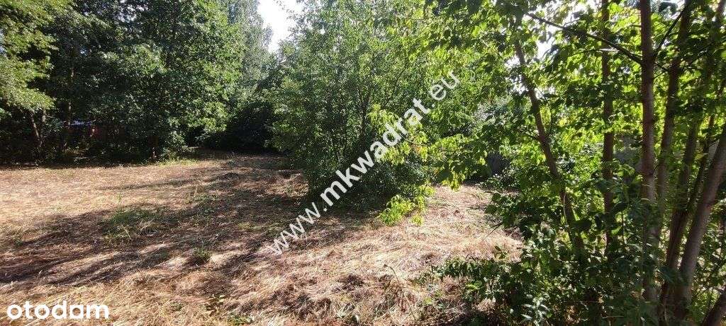 ⭐⭐⭐⭐⭐ Blisko Wkd Z Warunkami Zabudowy Media! ⭐⭐⭐⭐⭐-4