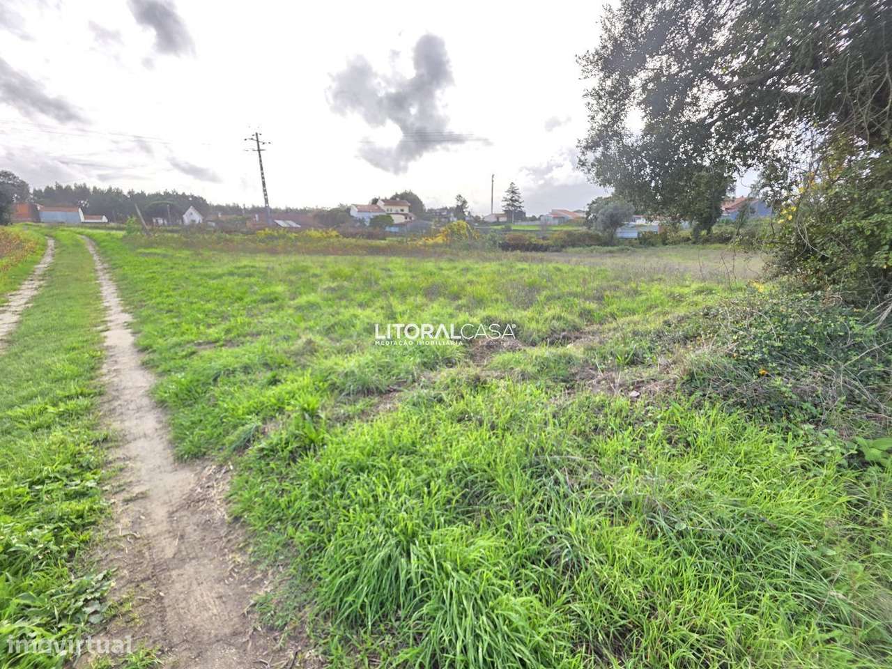 Terreno Agrícola - Eixo - Grande imagem: 2/14