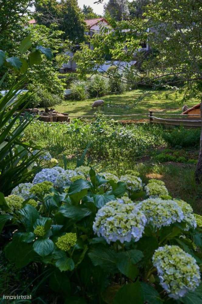 Casa com 2 quartos - localizado em Viana do castelo - Grande imagem: 5/10