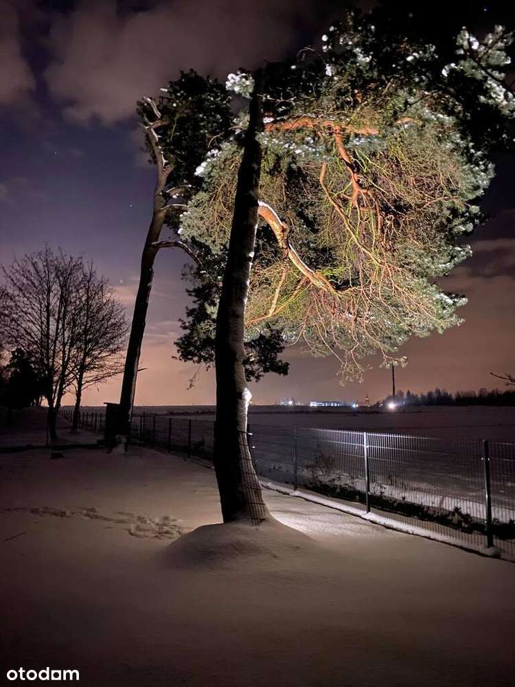 Dom Leśnaj Ostropa | Działka 837m² | Projekt typ A - Pełny obrazek: 4/15