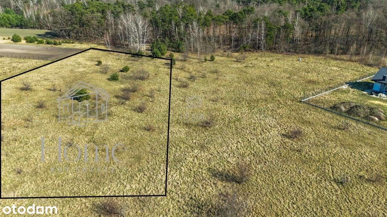 Działka budowlana przy samym lesie Helenów-Ozorków-2