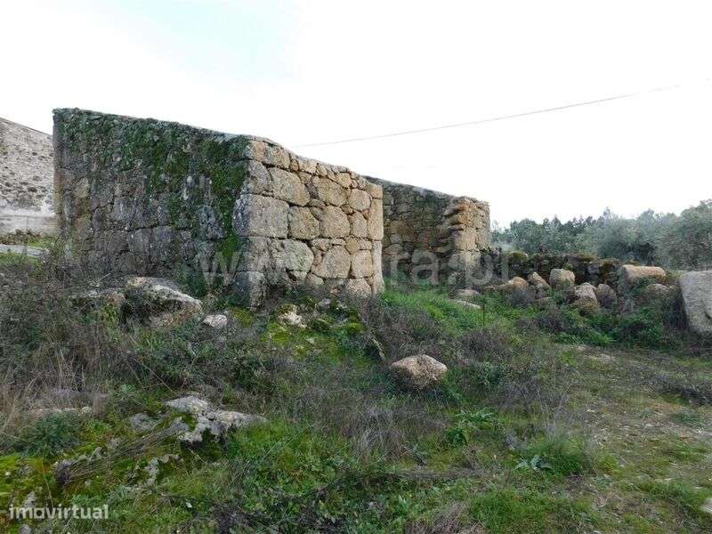 Moradia / Fundão, Alpedrinha - Grande imagem: 5/8
