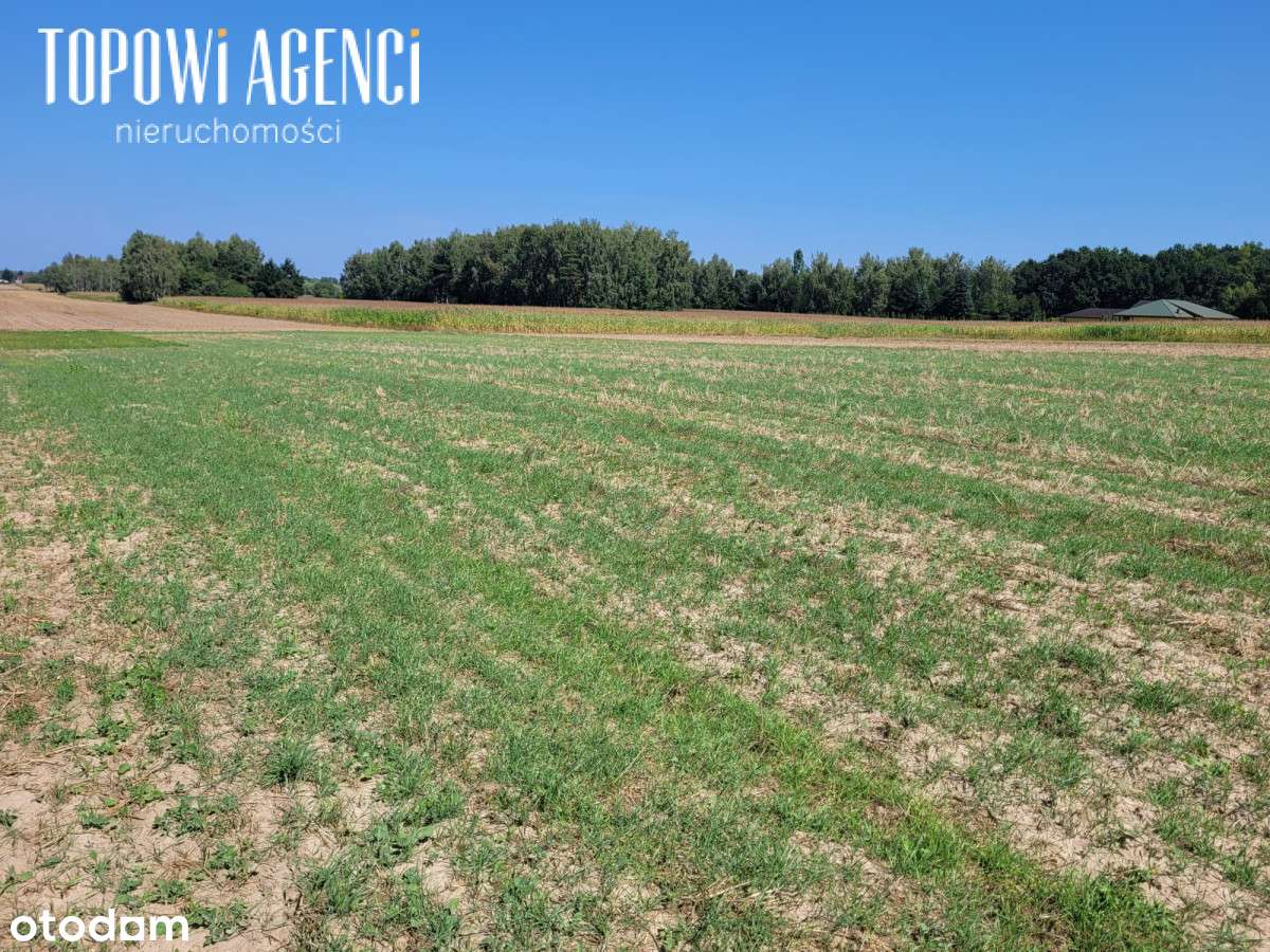 Działka nad rzeką,Park Kampinoski warunki zabudowy-0