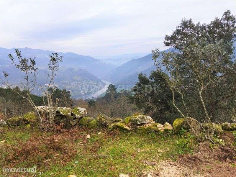 Terreno / Cinfães, Espadanedo - Grande imagem: 5/8