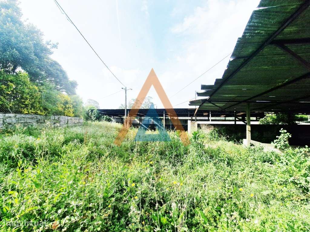Maravilhosa quinta com casa e terreno-22
